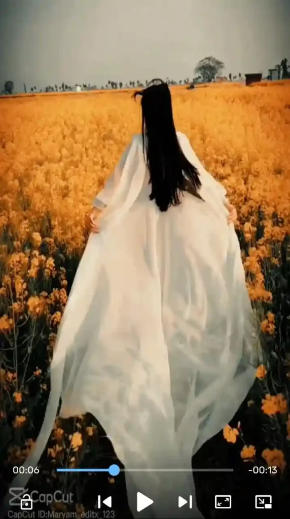 Slow Motion CapCut Template  